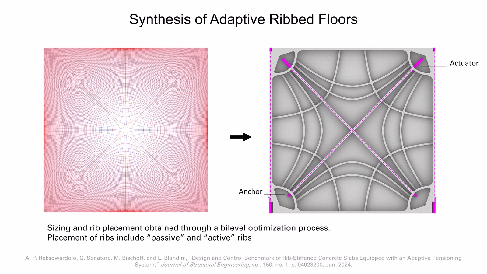 Adaptive Floor Systems slideshow item 8