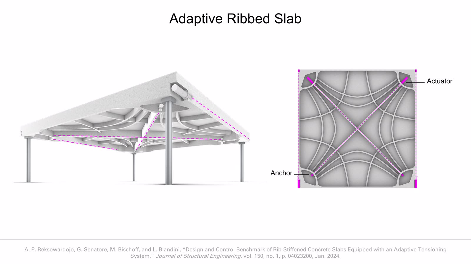 Adaptive Floor Systems slideshow item 12