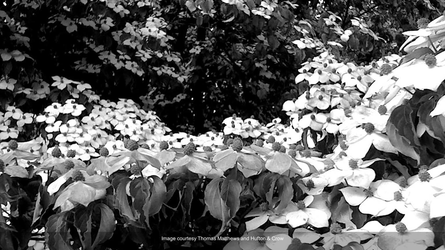 Forum Pattern slideshow item 1