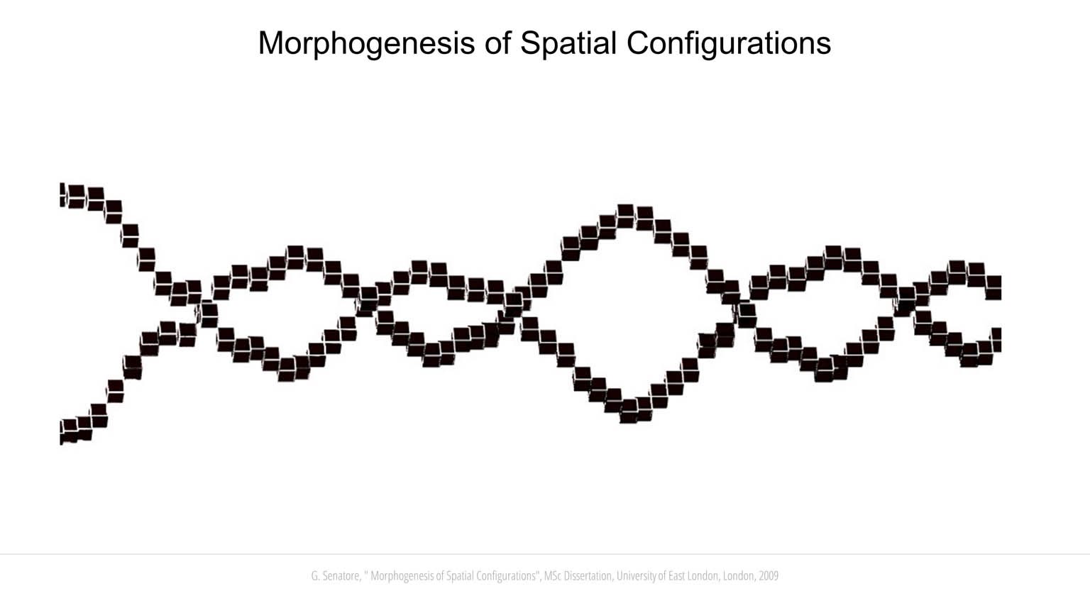Morphogenesis of Spatial Configurations slideshow item 1