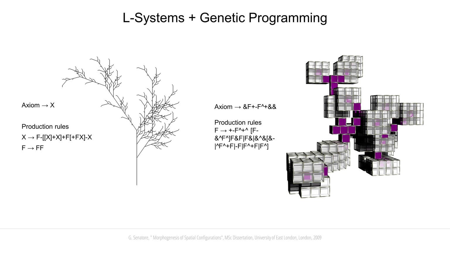 Morphogenesis of Spatial Configurations slideshow item 4