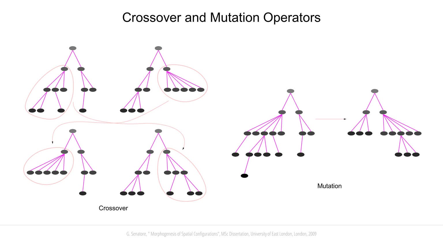 Morphogenesis of Spatial Configurations slideshow item 8