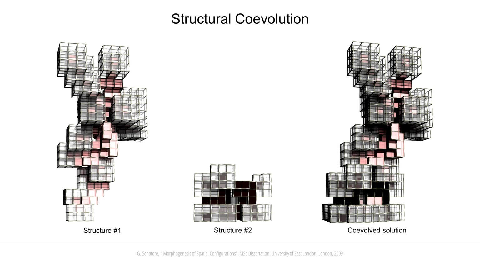 Morphogenesis of Spatial Configurations slideshow item 15