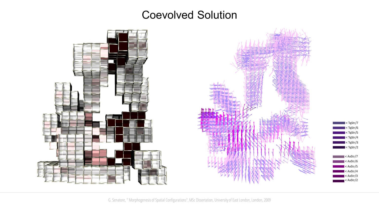 Morphogenesis of Spatial Configurations slideshow item 17