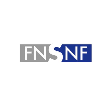 Swiss National Science Foundation - Structural Adaptation through Large Shape Changes